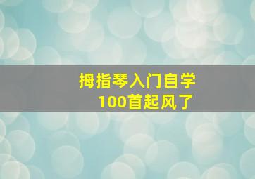 拇指琴入门自学100首起风了