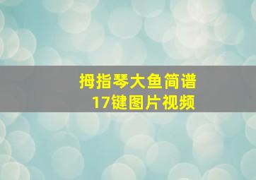 拇指琴大鱼简谱17键图片视频