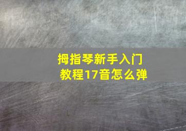 拇指琴新手入门教程17音怎么弹