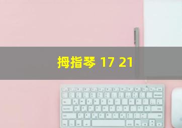 拇指琴 17 21