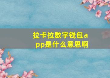 拉卡拉数字钱包app是什么意思啊