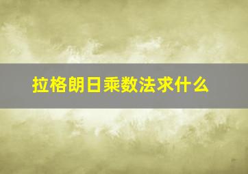 拉格朗日乘数法求什么