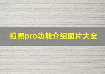 拍照pro功能介绍图片大全