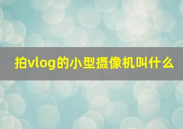 拍vlog的小型摄像机叫什么