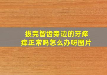 拔完智齿旁边的牙痒痒正常吗怎么办呀图片