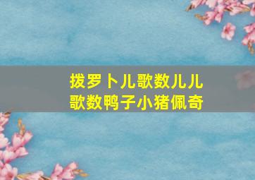 拨罗卜儿歌数儿儿歌数鸭子小猪佩奇