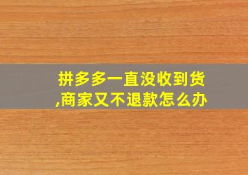 拼多多一直没收到货,商家又不退款怎么办