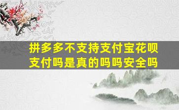 拼多多不支持支付宝花呗支付吗是真的吗吗安全吗