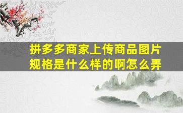 拼多多商家上传商品图片规格是什么样的啊怎么弄