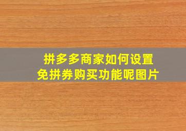 拼多多商家如何设置免拼券购买功能呢图片