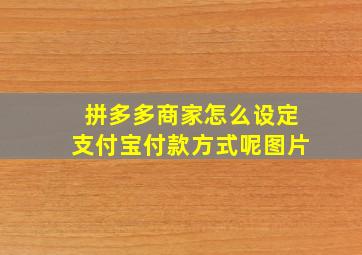 拼多多商家怎么设定支付宝付款方式呢图片