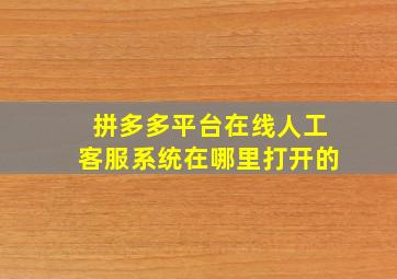 拼多多平台在线人工客服系统在哪里打开的