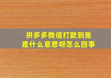 拼多多微信打款到账是什么意思呀怎么回事