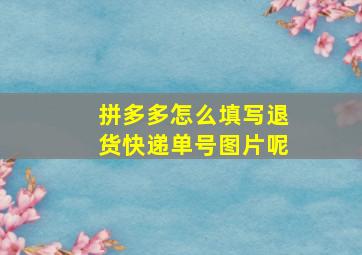 拼多多怎么填写退货快递单号图片呢