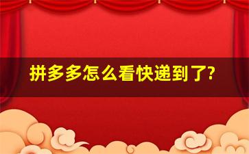 拼多多怎么看快递到了?