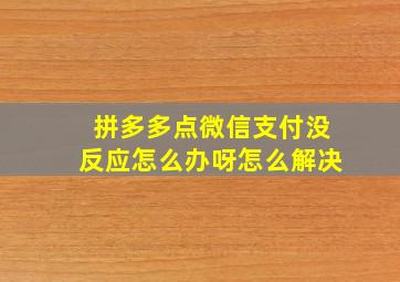 拼多多点微信支付没反应怎么办呀怎么解决