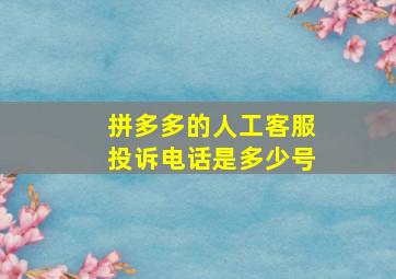 拼多多的人工客服投诉电话是多少号