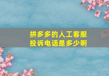 拼多多的人工客服投诉电话是多少啊