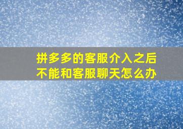 拼多多的客服介入之后不能和客服聊天怎么办