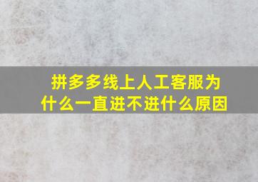 拼多多线上人工客服为什么一直进不进什么原因