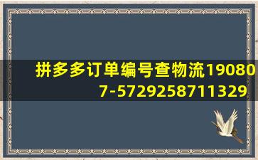 拼多多订单编号查物流190807-572925871132957