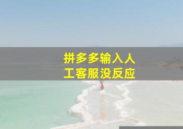 拼多多输入人工客服没反应