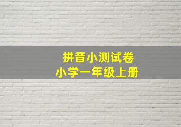 拼音小测试卷小学一年级上册