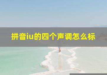 拼音iu的四个声调怎么标