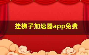 挂梯子加速器app免费