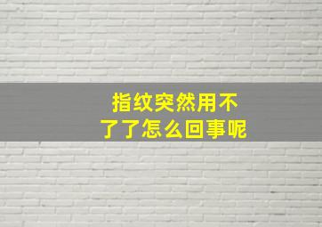 指纹突然用不了了怎么回事呢