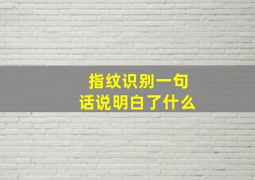 指纹识别一句话说明白了什么