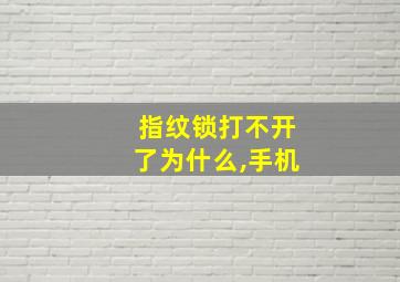 指纹锁打不开了为什么,手机