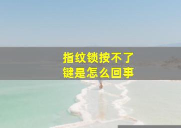 指纹锁按不了键是怎么回事