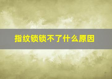 指纹锁锁不了什么原因