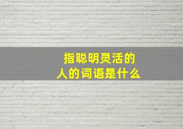 指聪明灵活的人的词语是什么