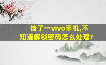 捡了一vivo手机,不知道解锁密码怎么处理?