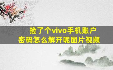 捡了个vivo手机账户密码怎么解开呢图片视频