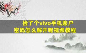 捡了个vivo手机账户密码怎么解开呢视频教程