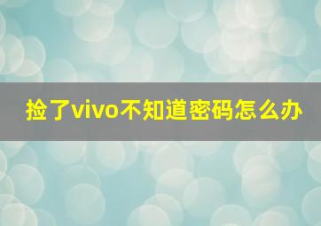 捡了vivo不知道密码怎么办