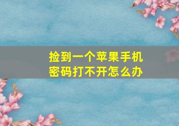 捡到一个苹果手机密码打不开怎么办