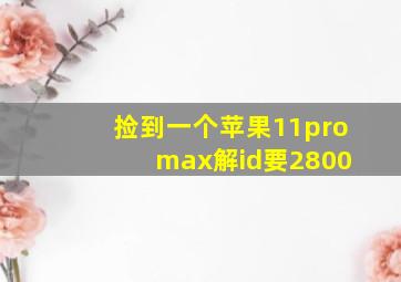 捡到一个苹果11pro max解id要2800