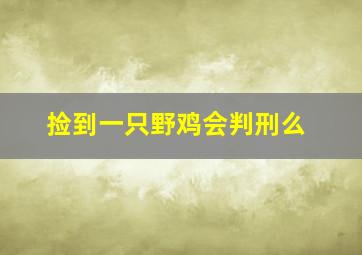 捡到一只野鸡会判刑么