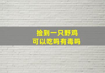 捡到一只野鸡可以吃吗有毒吗