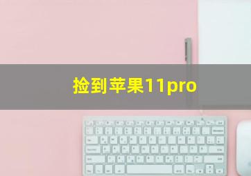 捡到苹果11pro