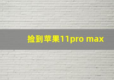 捡到苹果11pro max