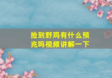 捡到野鸡有什么预兆吗视频讲解一下