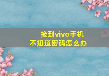 捡到vivo手机不知道密码怎么办