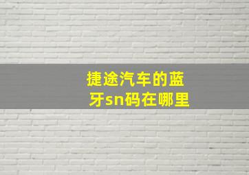 捷途汽车的蓝牙sn码在哪里