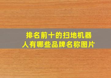 排名前十的扫地机器人有哪些品牌名称图片