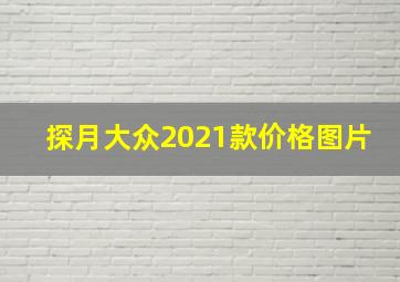 探月大众2021款价格图片